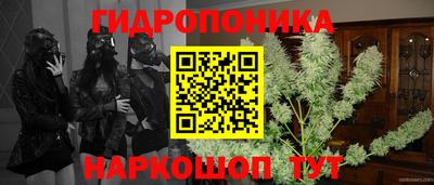 ГАЛЛЮЦИНОГЕННЫЕ ГРИБЫ Владивосток