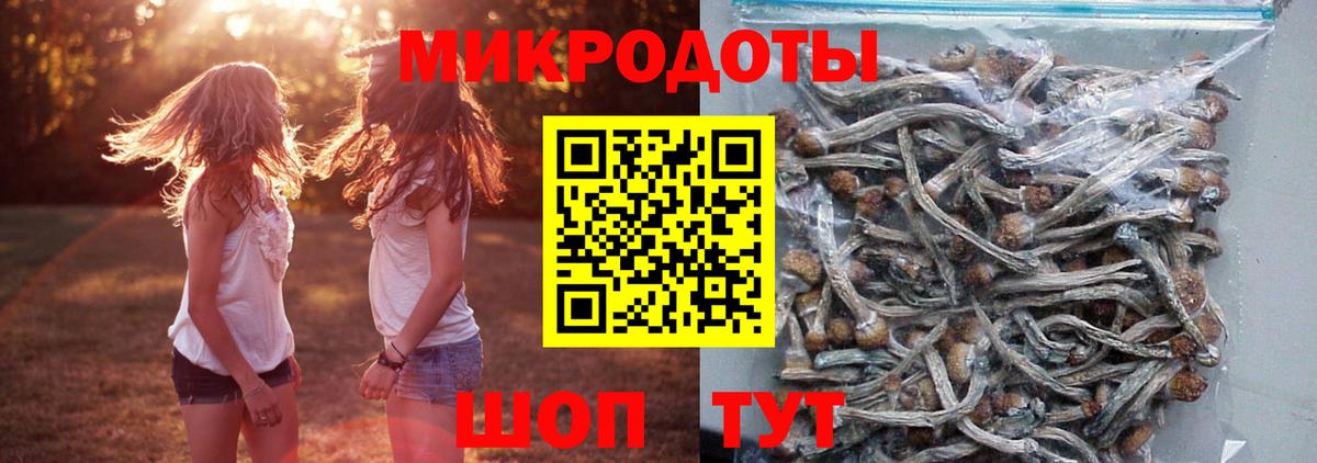 Белореченск  Псилоцибиновые грибы ЛСД  Галлюциногенные грибы Magic Shrooms  Вход с VPN 